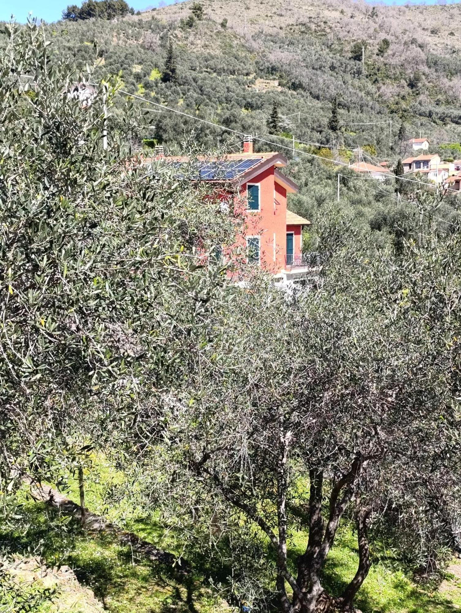 Le Casasse Διαμέρισμα Imperia Εξωτερικό φωτογραφία